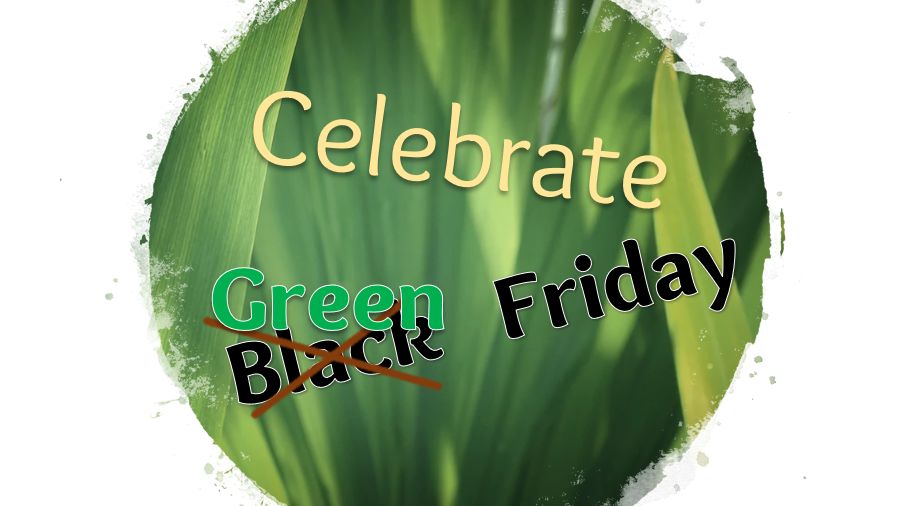 green-friday-feature